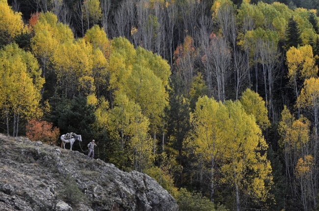 Eşsiz doğasıyla öne çıkan Gümüşhane'de sonbahar renkleri