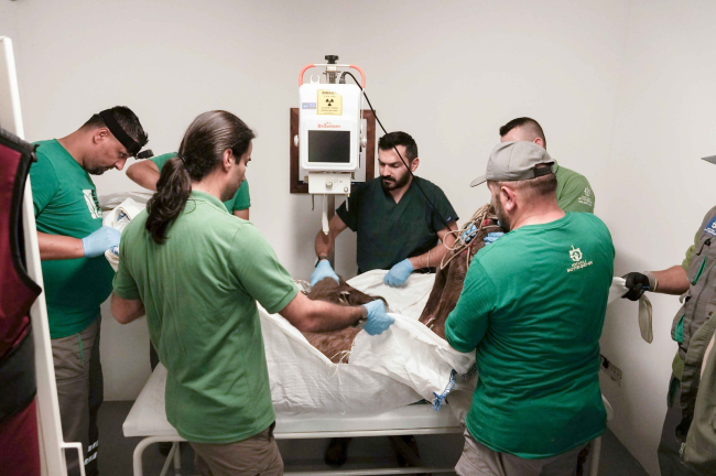 Fotoğraf: TRT Haber