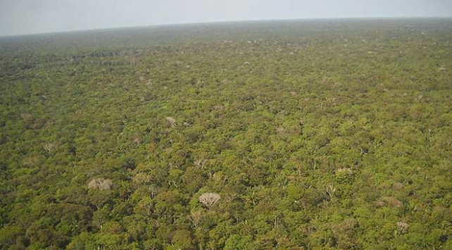 2018'de tropik bölgelerdeki 12 milyon hektar ormanlık alan yok oldu