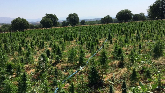 Fotoğraf: TRT Haber