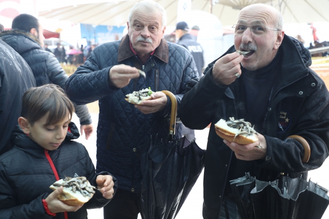 2 günde ayıklanan 1,5 ton hamsi 2 saatte tüketildi