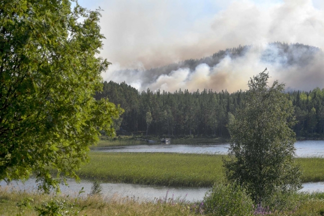 İsveç'te orman yangınları kontrol altına alınamıyor