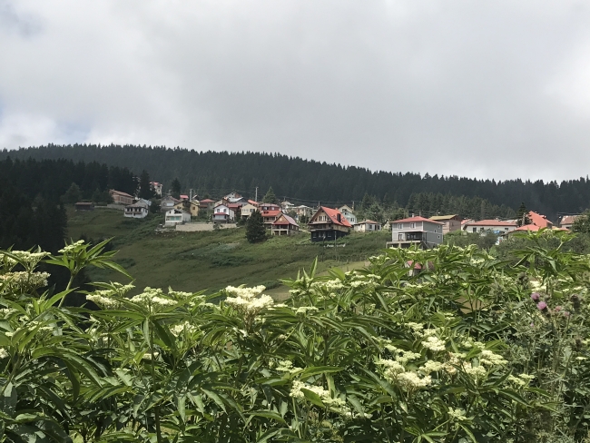 El değmemiş doğasıyla öne çıkan Giresun yaylalarına bayramda yoğun ilgi