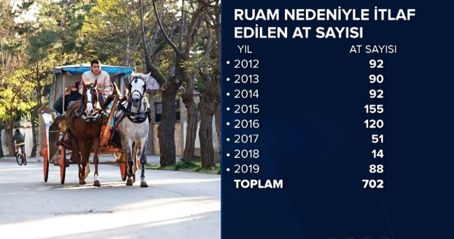 Meclis'te ruam hastalığı raporu