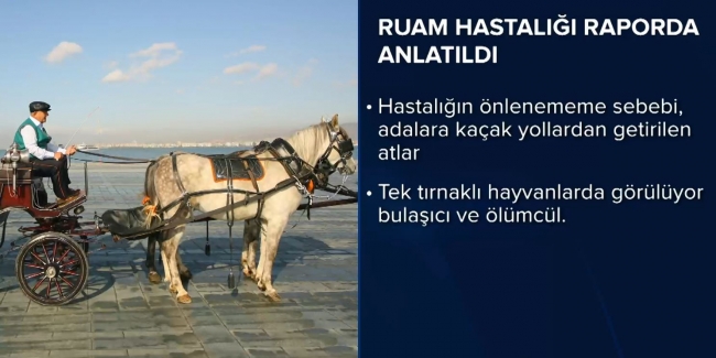 Meclis'te ruam hastalığı raporu