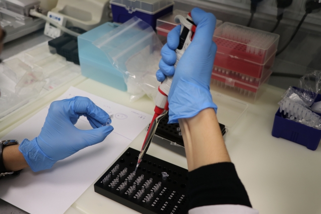 Fotoğraf: AA (Arşiv)