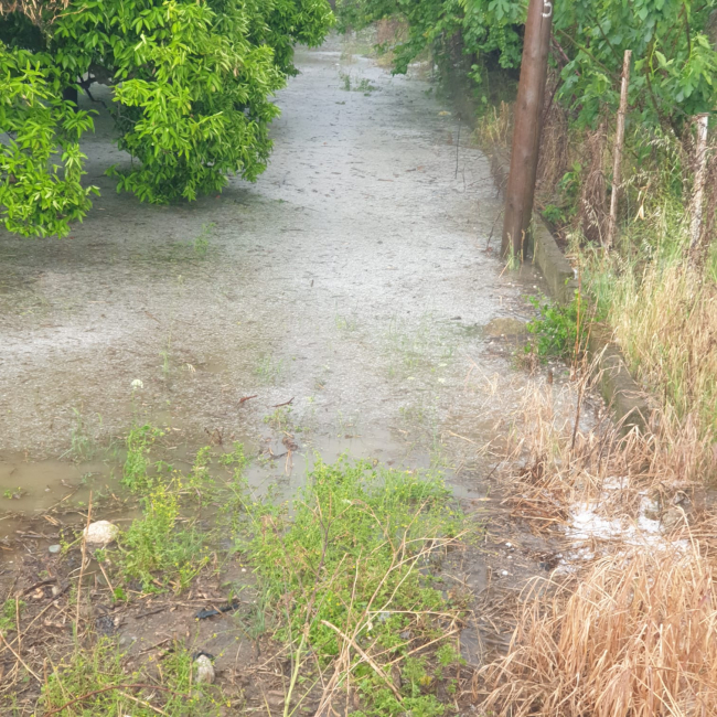 Adana'da sağanak ve dolu: Ev ve iş yerlerini su bastı