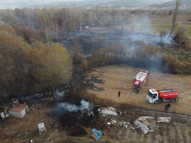 Bursa'da ağaçlık alanda yangın