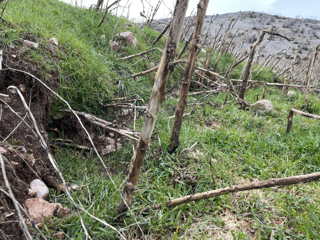 Fay hattının geçtiği mahallede yükselme oldu