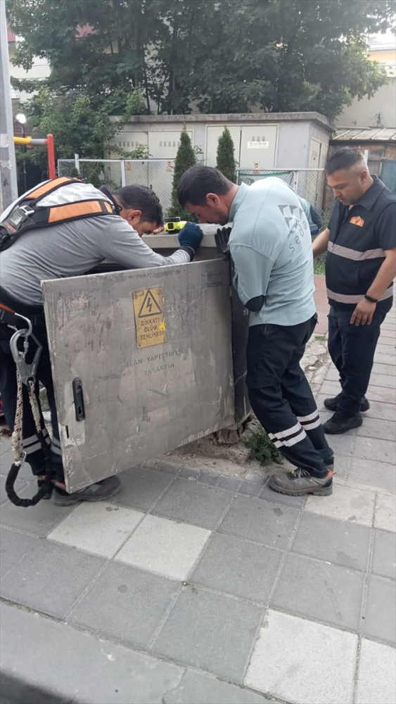 Bolu'da elektrik panosuna sıkışan kedi yavrusu kurtarıldı