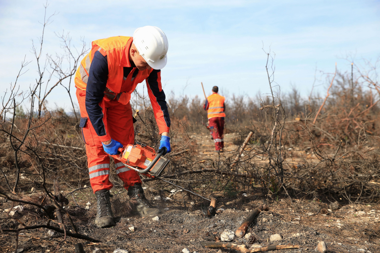 'Alev savaşçıları' fidan dikimi için sahada