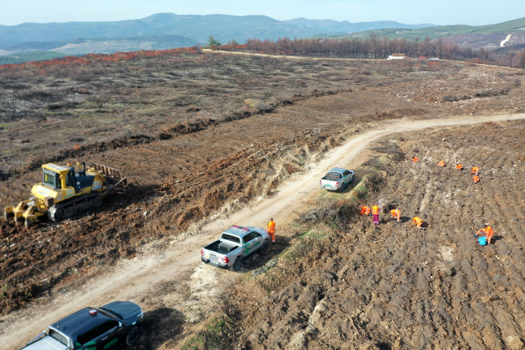 'Alev savaşçıları' fidan dikimi için sahada