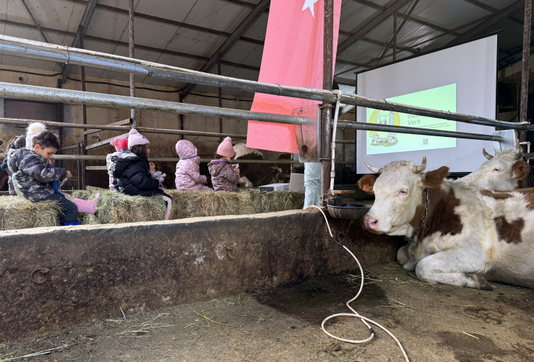 Ardahan'da Minik Çiftçi Akademisi: Anaokulu öğrencilerine hayvancılık ve tarım öğretiliyor