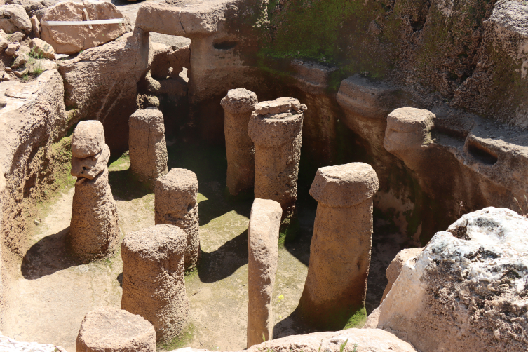 Karahantepe'de 12 bin yıl öncesinin beslenme alışkanlıkları ortaya çıkarıldı