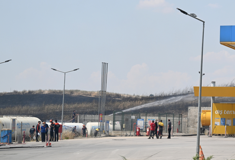 Ankara'da otluk alanda yangın