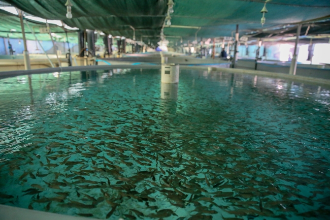 Fotoğraf: AA Arşiv