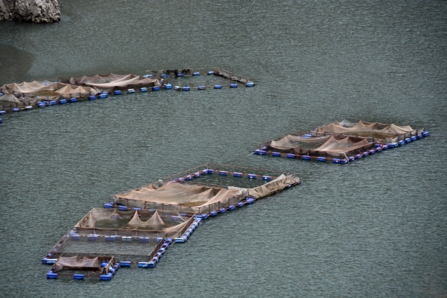 Fotoğraf: AA Arşiv