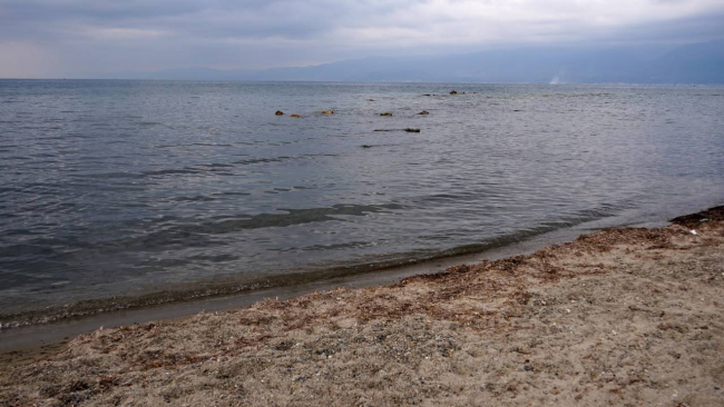 3 ilde deniz çekildi: Her sene olan doğal olaylar