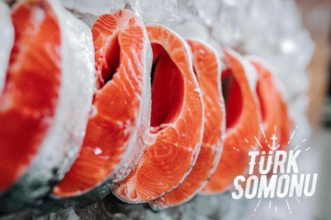 Türk somonunun üretimi Anadolu'da başlıyor