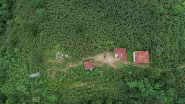 Fotoğraf: AA (Arşiv)