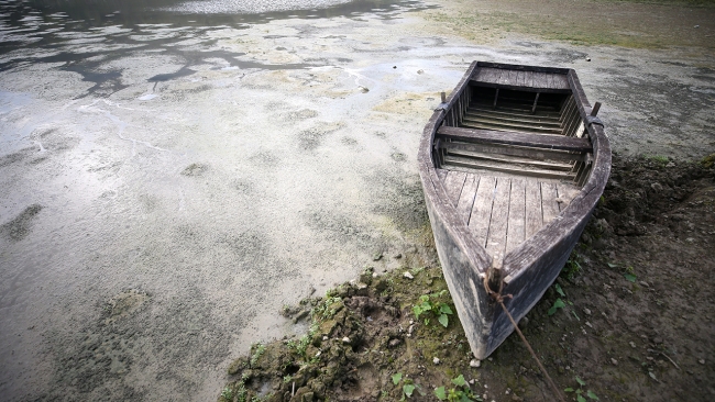 İklim değişikliği ve Türkiye: 2021 yılına dikkat