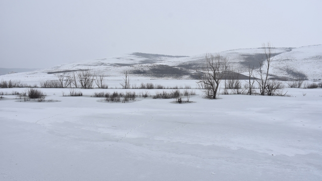 Doğu Anadolu'da hayat buz tuttu
