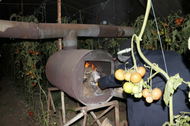 Çiftçilerden sobalarla zirai don nöbeti