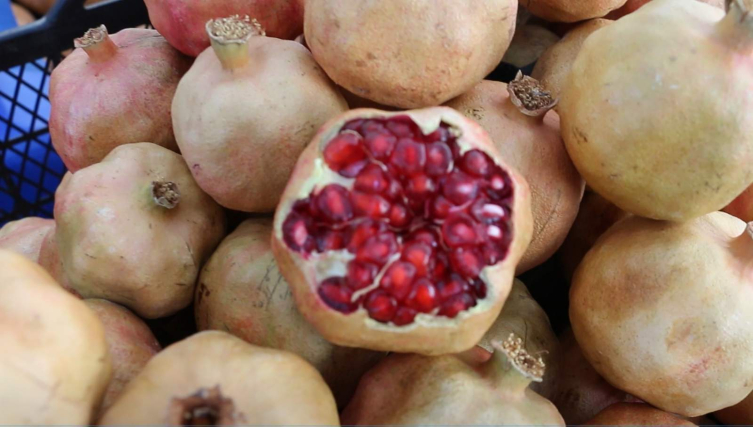 Zivzik narının satışına başlandı