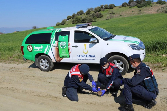 Doğada zarar gören hayvanlar da Jandarma ekiplerinin yakın gözetiminde. Bulunan yaralı baykuş tedavi merkezine götürülüyor. 
