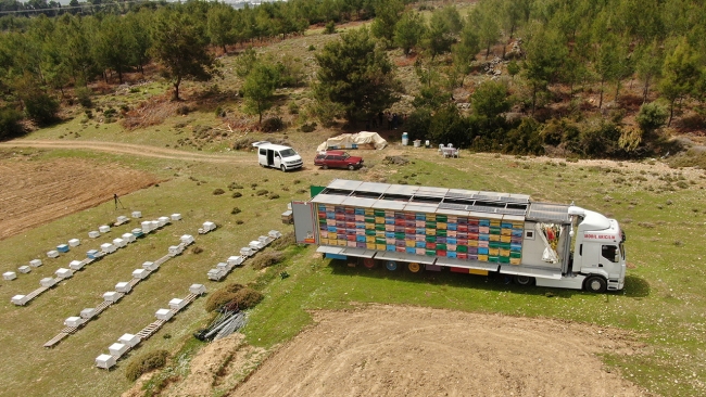 Mobil arı tırı ile organik bal üretti