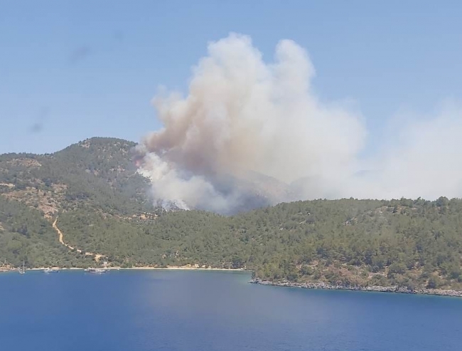 Milas'ta orman yangını