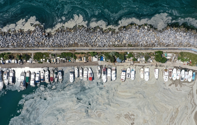 Müsilaj sadece açık denizlerde değil marinadalarda da yoğun bir şekilde görüldü. Foto: AA
