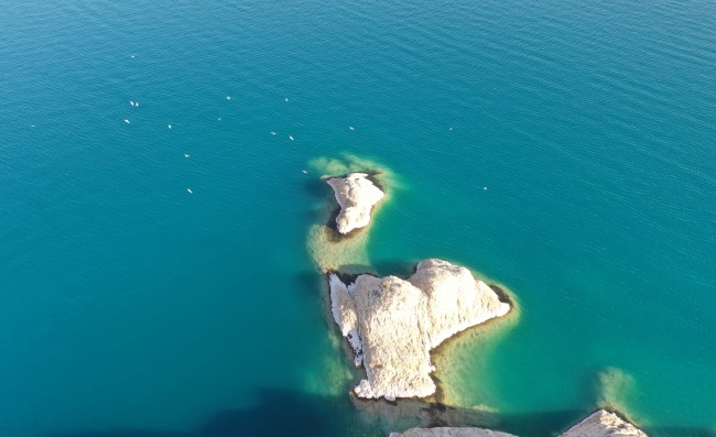 Van Gölü için 11 belediyeden ortak çalışma
