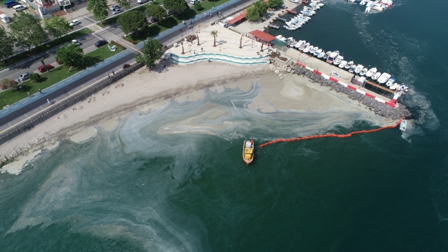 Müsilajla mücadelede 7 ana öncelik belirlendi