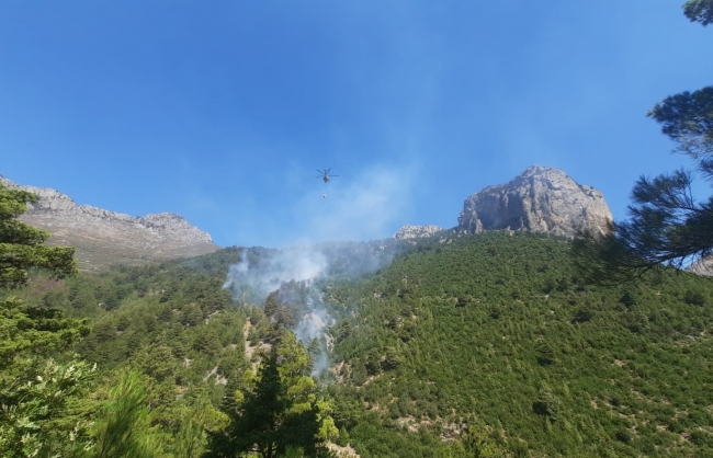 Adana'da orman yangını