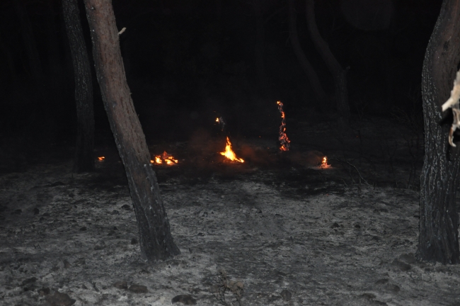 Çanakkale'deki yangın söndürüldü
