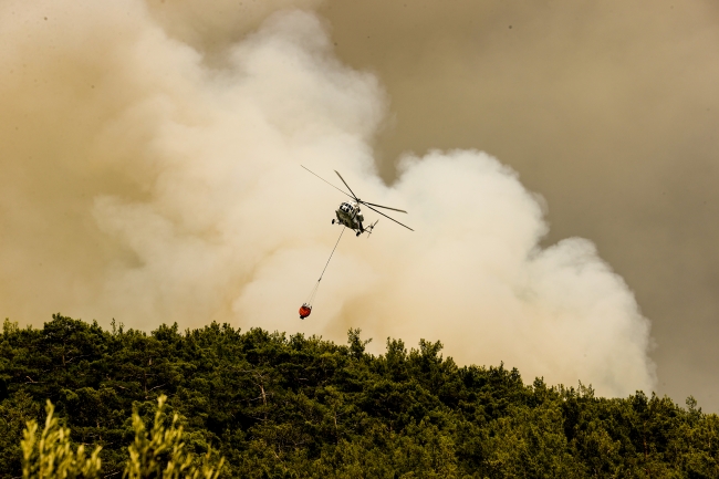 5 ilde 12 yangına müdahale sürüyor