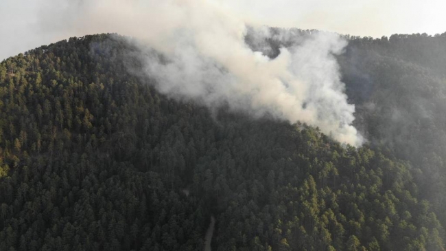 5 ilde 12 yangına müdahale sürüyor