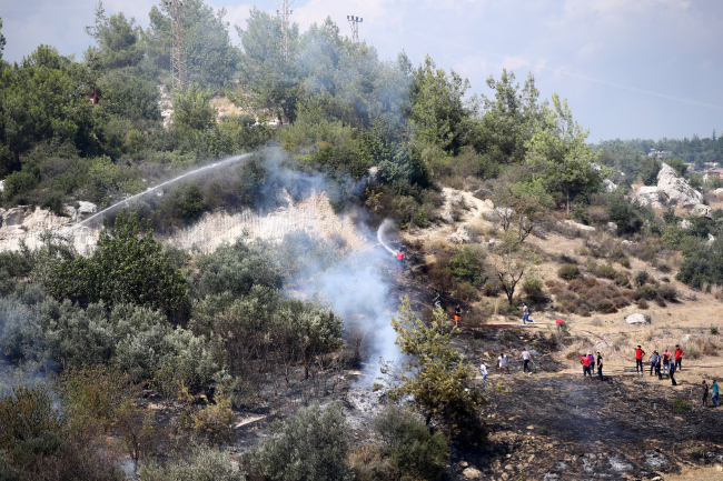 Mersin'de 9 bin hektar ormanlık alan kül oldu