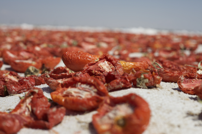 Kuru domates ihracatı 100 milyon dolara yaklaştı