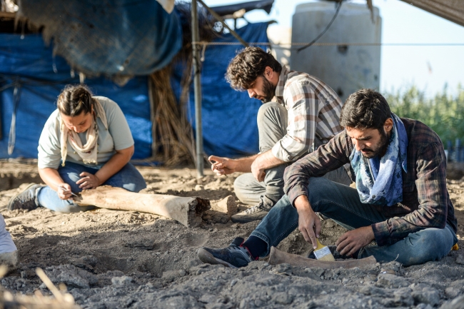 Kahramanmaraş'ta yeni fil fosilleri bulundu