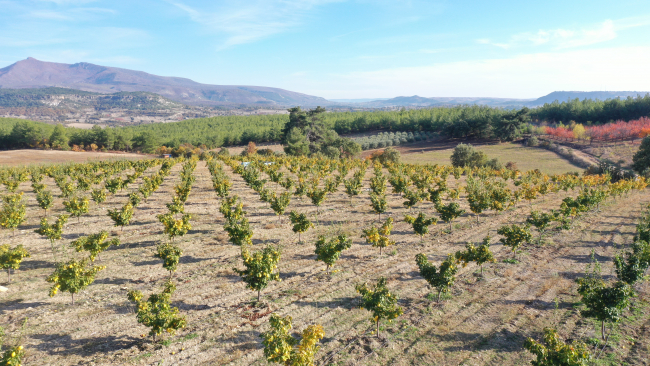 Fizik okudu, devlet desteğiyle çiftçi oldu