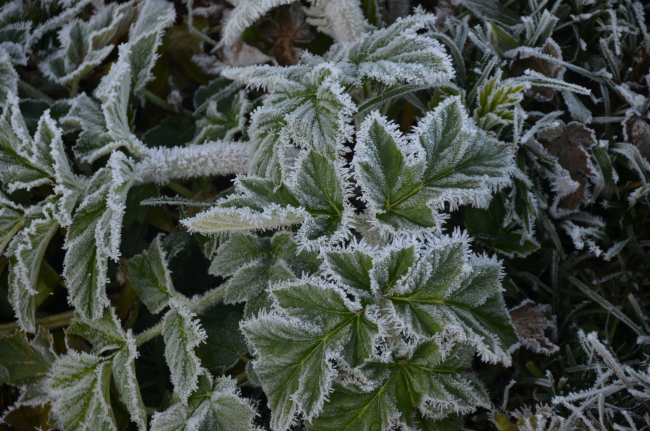 Kars'ta termometreler -8'i gördü