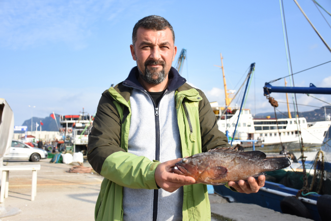 Nesli tehlike altındaki orfoz Karadeniz'de