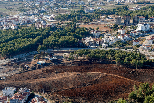 Yanan ormanlara yakın mahalleler fidanlarla buluşacak