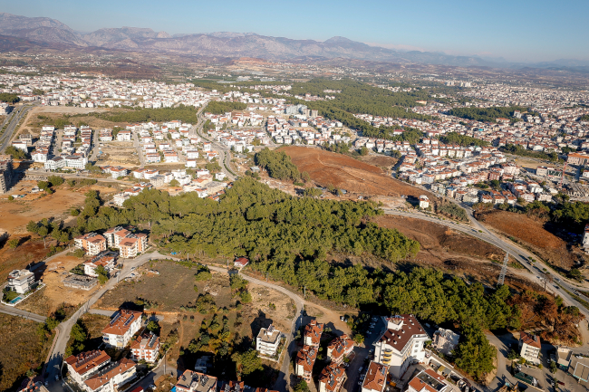 Yanan ormanlara yakın mahalleler fidanlarla buluşacak