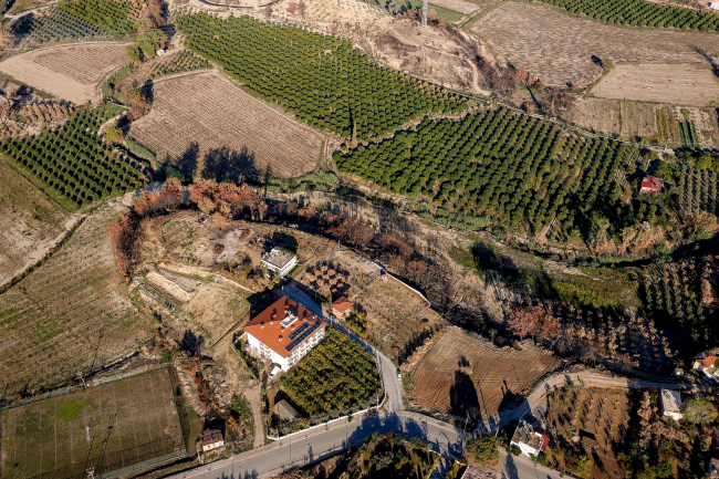 Yanan ormanlara yakın mahalleler fidanlarla buluşacak