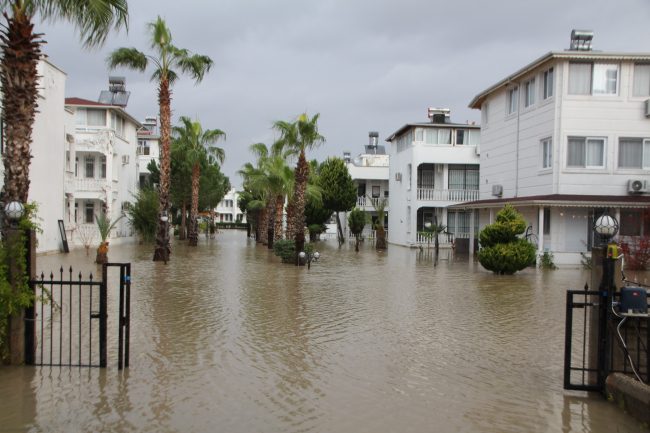 Antalya'da sağanak ağaçları kökünden söktü