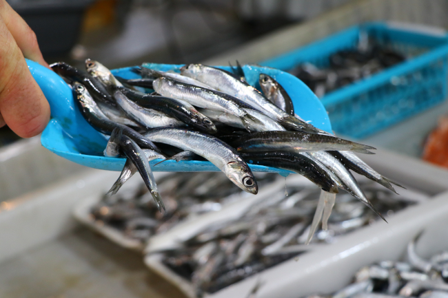 Tezgahlarda hamsinin yerini istavrit aldı