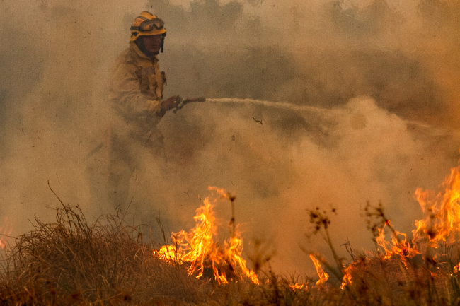 Arjantin'de ordu orman yangınlarıyla mücadelede sahaya iniyor